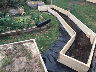 New raised bed for 2017