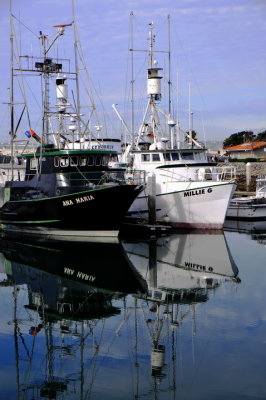 Tuna Harbor