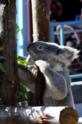 San Diego Zoo