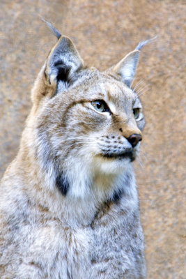 San Diego Zoo