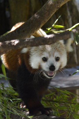 San Diego Zoo