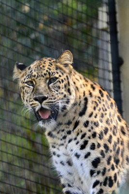 San Diego Zoo