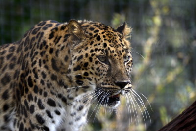 San Diego Zoo