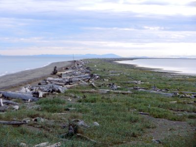 Dungeness spit