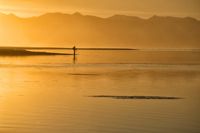 Birder_D806062V2s.jpg