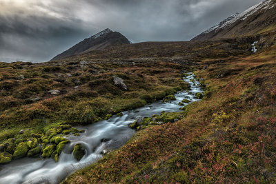 Mountain Stream DSC_0642s.jpg
