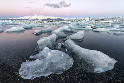 Ice Lagoon DSC_0342V2s.jpg