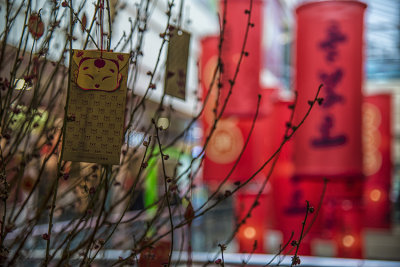 Hong Kong_D807078s.jpg