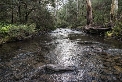 Victorian High Country stream