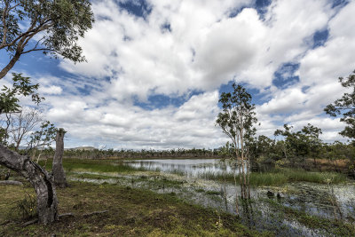 Cape York Trip - Wetlands