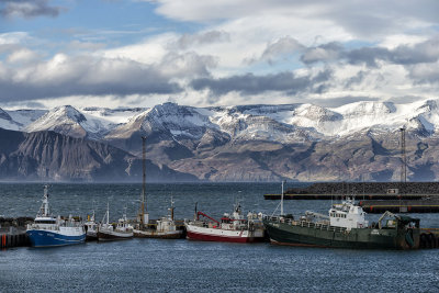 _D806461.jpg
