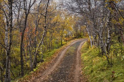 Iceland Autumn_D806118s.jpg
