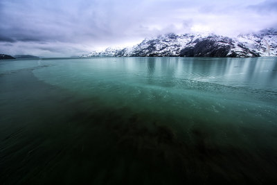 Glacier Bay May 2016_DSC2504s.jpg