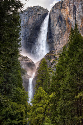 Yosemite May 2016_D803619s.jpg