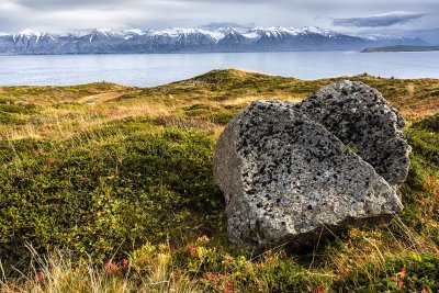 Iceland DSC_0661s.jpg
