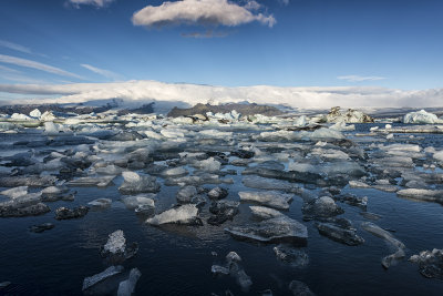 Ice DSC_0130s.jpg