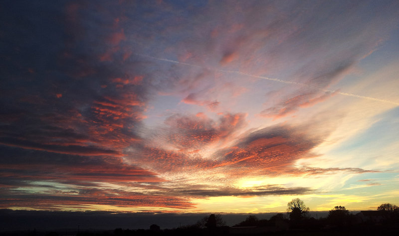 Winter Sky