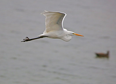 2P4A6078wnr.jpg