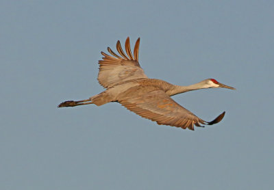 2P4A8715wnr.jpg