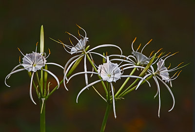 Wheeler National Wildlife Refuge - 8/16/2014