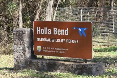 Holla Bend National Widlife Refuge - November 2014