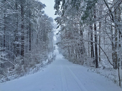 First Snow of the Winter Season 2014-15