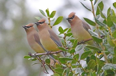 Wheeler National Wildlife Refuge - 03/14/2015