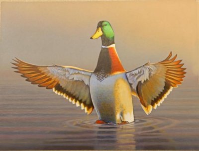 2015 Federal Duck Stamp Judging - Alabama State Winner