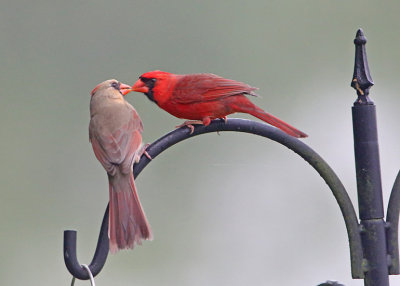 Wheeler National Widlife Refuge - 04/18/2015