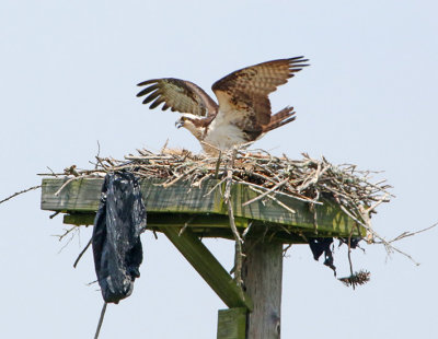 Wheeler National Wildlife Refuge - 05/20/2015