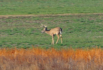 Wheeler National Wildlife Refuge - 03/05/2016 -Program Day