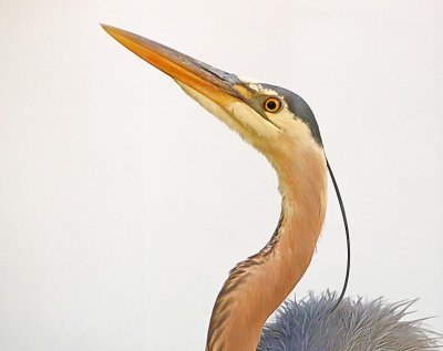 Wheeler National Wildlife Refuge - Youth Fishing -04/07/2016