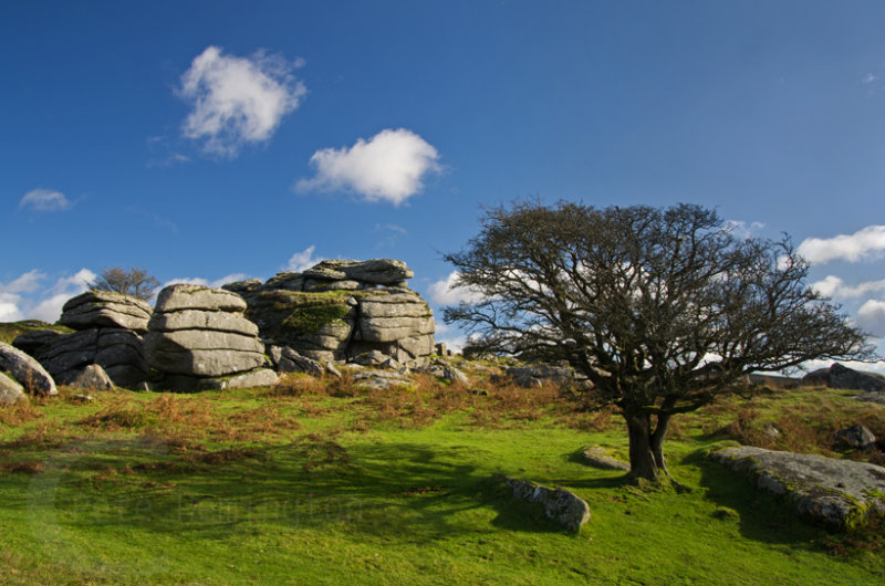 Combshead Tor on Dartmoor