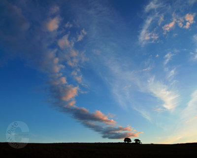 Steaming clouds, or smoking tree's?