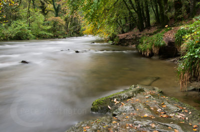 The River Barle in Devon