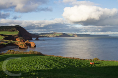 Ladram bay