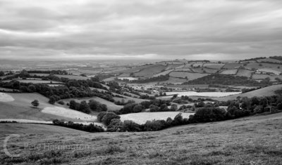 The Exe Valley near Silverton in Mid Devon
