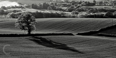 Rural Devon