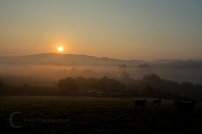 Early this morning