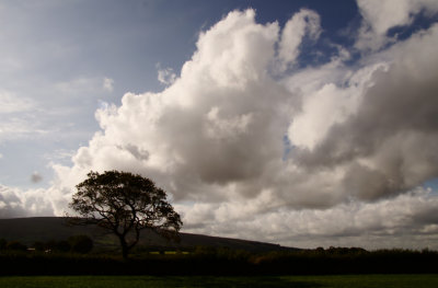 Cloud streaming off Dartmoor