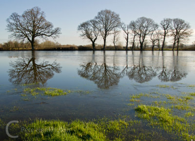 Flood water near Crediton