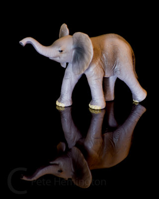 Model elephant