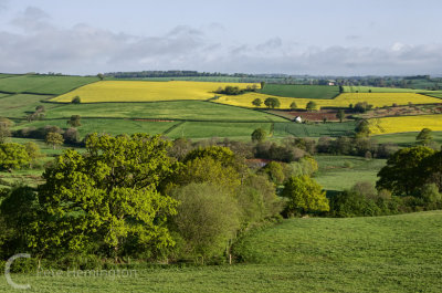 Between Bradninch and Cullompton