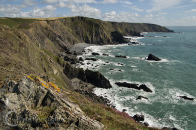 From Higher to Lower Sharpnose Point in N Cornwall