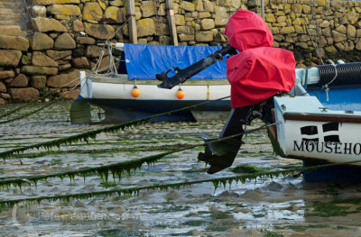 A 'long lens'at Mousehole in Cornwall?
