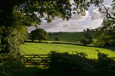 Evening light on a rural view in Mid Devon, UK﻿