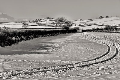 Snowy scene near Silverton in Mid Devon, UK