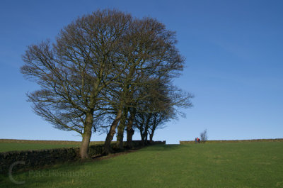 Walking near Stannington, Sheffield