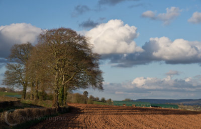 Rural Mid Devon