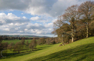 A Mid Devon view near home